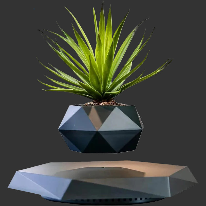 Geometric black planter with a plant on a white background