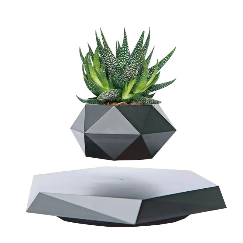 Geometric black and gray planter with aloe vera plant on a white background, featuring HCNT logo.